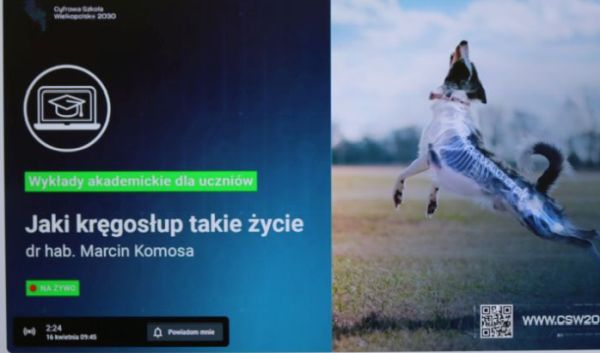 Jaki kręgosłup takie życie | dr hab. Marcin Komosa