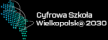 csw 2030 logo