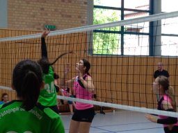 blankenburg_30