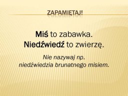 swiatowy_dzien_misia_strona_05