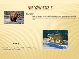 swiatowy_dzien_misia_strona_11