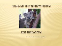 swiatowy_dzien_misia_strona_14