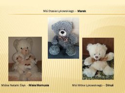 swiatowy_dzien_misia_strona_16