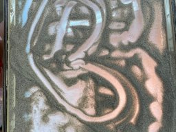 w11
