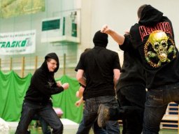 IMG_4081