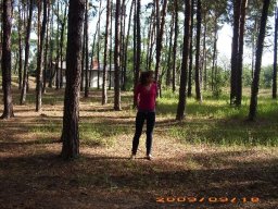 IMG_0257