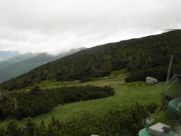 P6020019