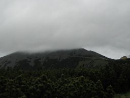 P6020023