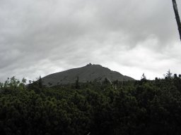 P6020027