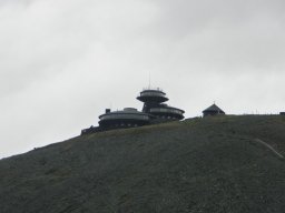 P6020029