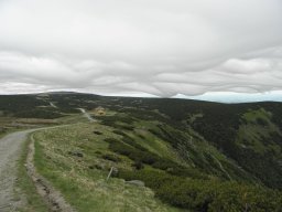 P6020033
