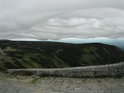 P6020034