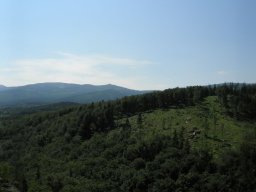 P6030099
