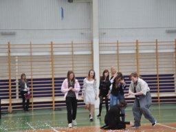 miniPBS223
