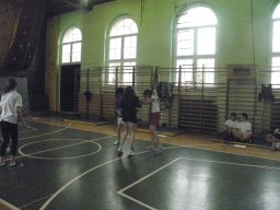 PMS037
