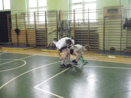 PMS043