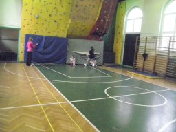 PMS132