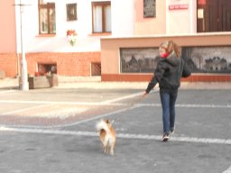happening_273