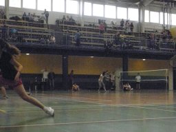 badminton_55